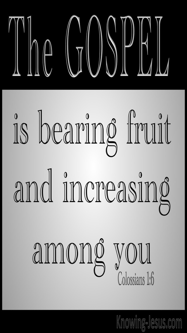 Colossians 1:6 The Gospel Which Has Come To You (gray)